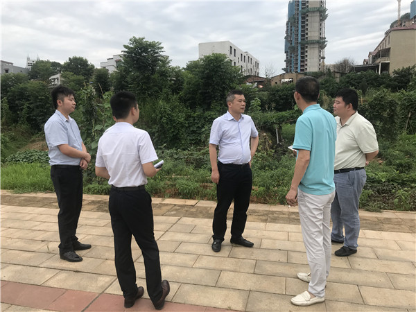 7月6日。黃勁松深入板塘片區(qū)重點(diǎn)項(xiàng)目調(diào)研.jpg