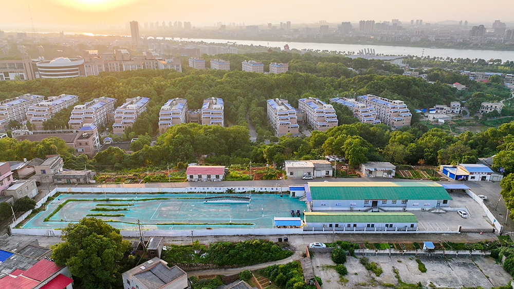 湘盾東湖駕校摩托車駕駛?cè)伺嘤柣?JPG
